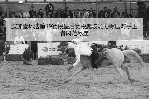 bo-jia-cha-huan-fa-di-sai-duan-huang-hou-sai-duan-pa-po-neng-li-nian-ya-dui-shou-wang-zhe-feng-fan-jin-xian-2-568.jpg